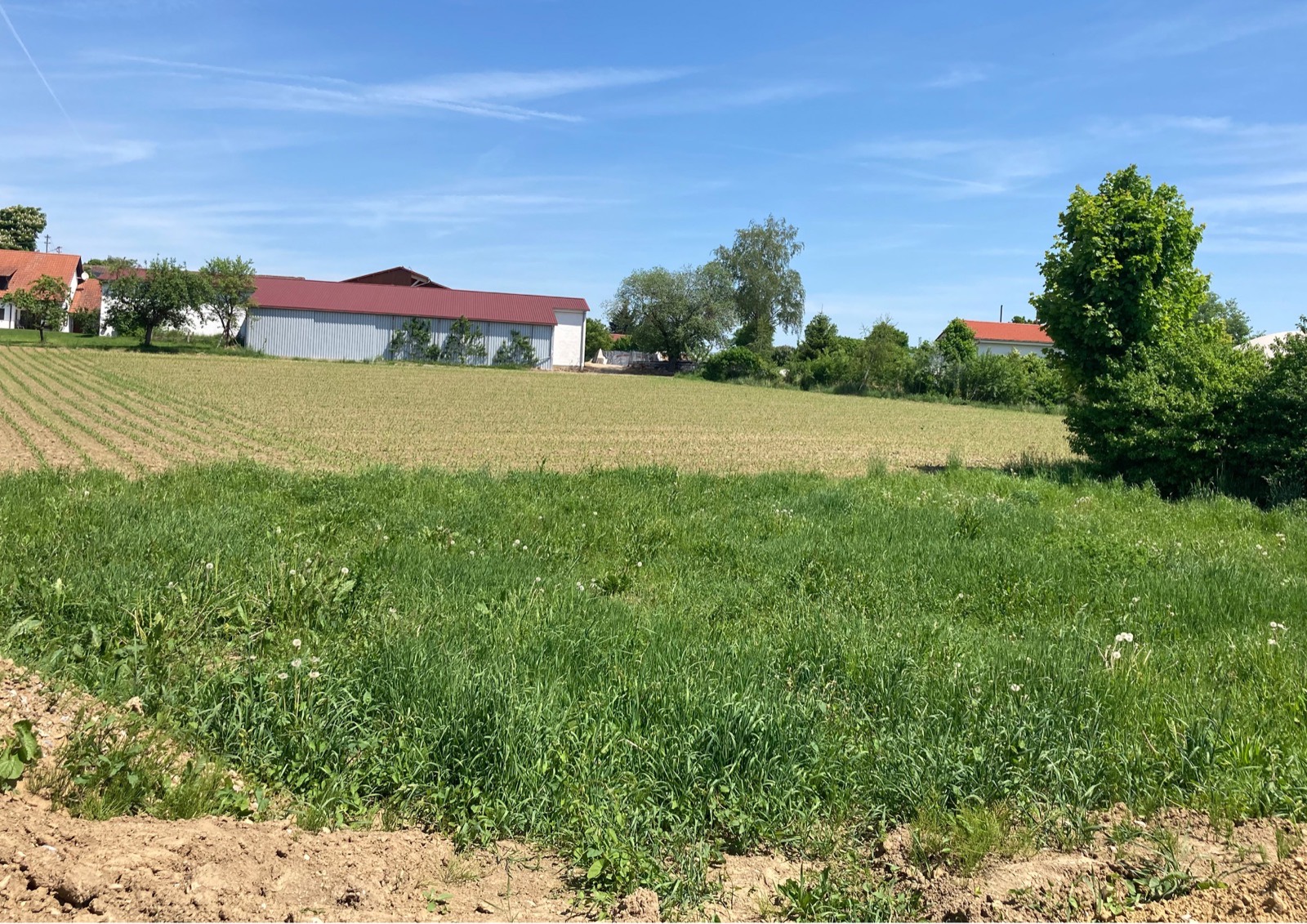Grundstückserschließung ca. 620 m² – Projektierung Einfamilienhaus